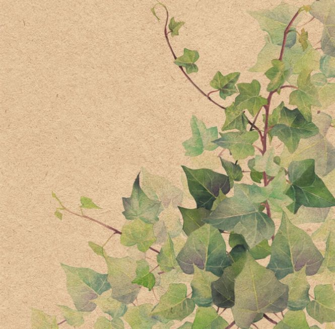 Hovedbilde Napkin Lunsj Hedera Nature 